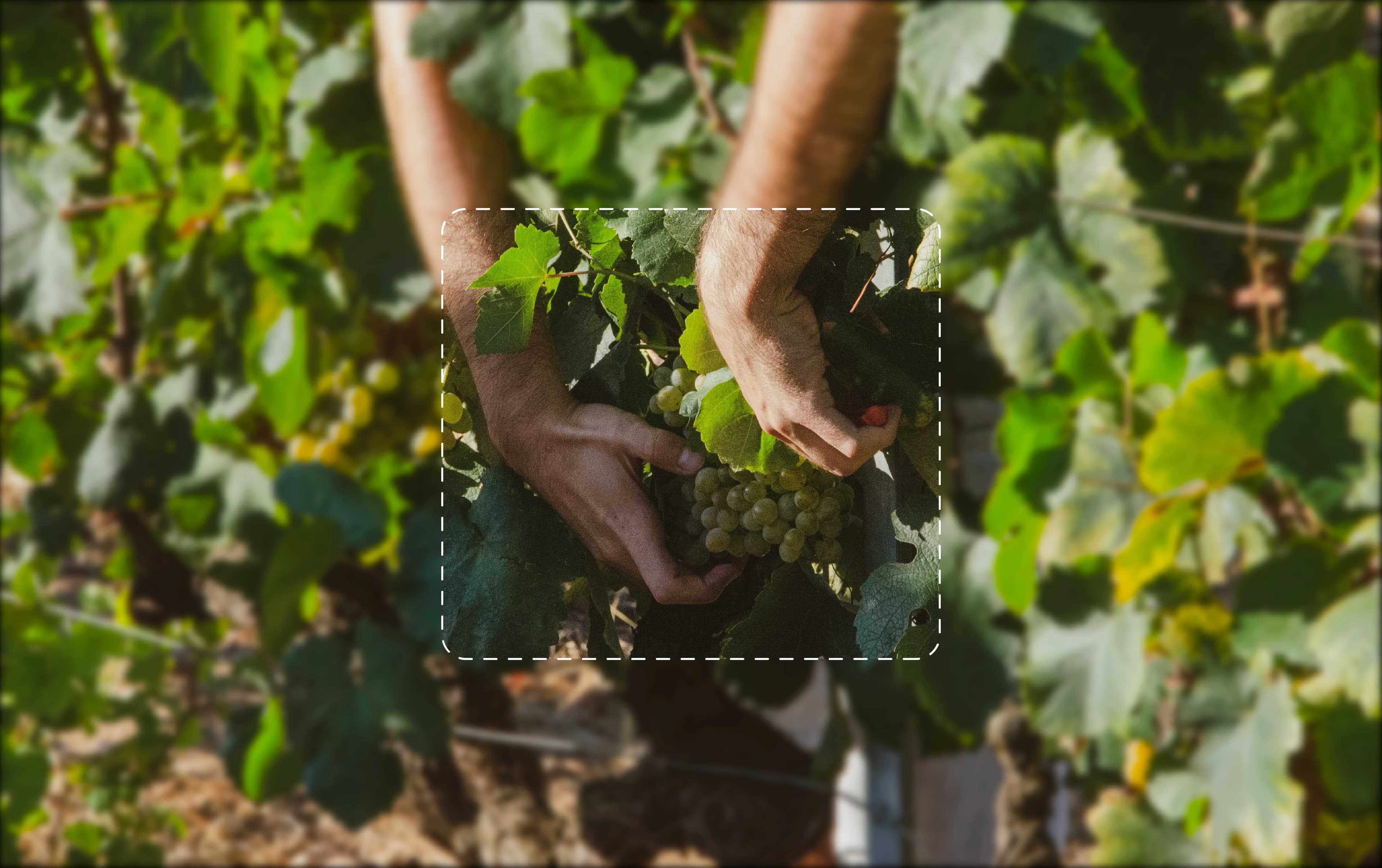 Sense on place Landing image